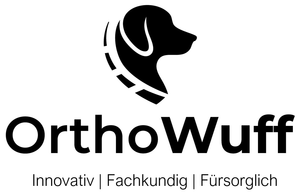 Zur Startseite gehen